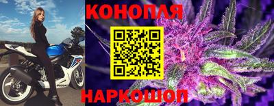 ПСИЛОЦИБИНОВЫЕ ГРИБЫ Новодвинск