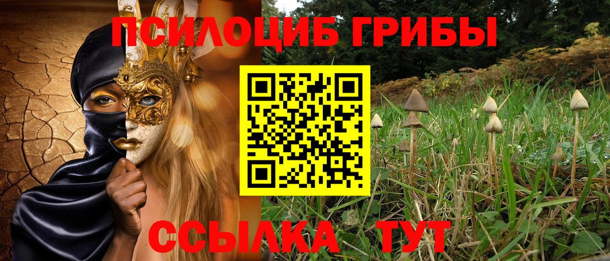 Псилоцибиновые грибы MAGIC MUSHROOMS  закладки  Сердобск  Вход с VPN 